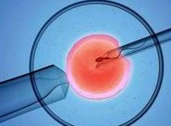 女生孩子不孕不育会不会有遗传（女生不孕不育的症状有哪些）