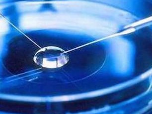 试管婴儿中移植胚胎2pn和1pn谁的着床率更高？