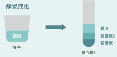 2026年中山哪家医院做试管排名较好？